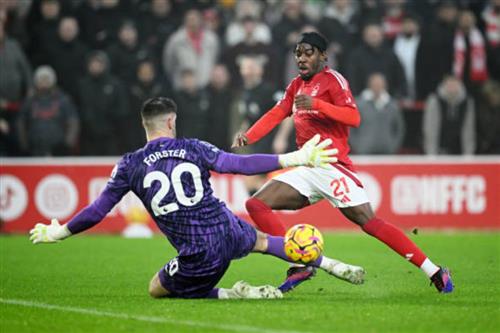 Campo Bet 888: Complete Guide to Online Betting